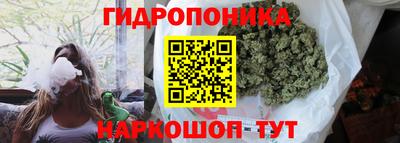 винт Гусев