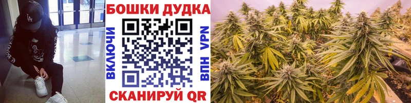 гидра зеркало  закладки  Зеленогорск  Каннабис Amnesia 