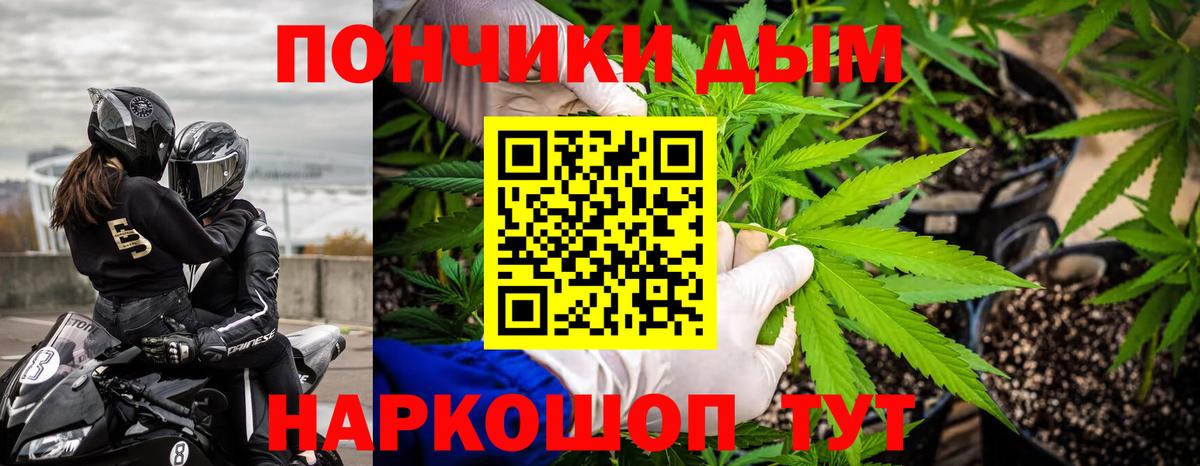 Конопля SATIVA & INDICA Зеленогорск